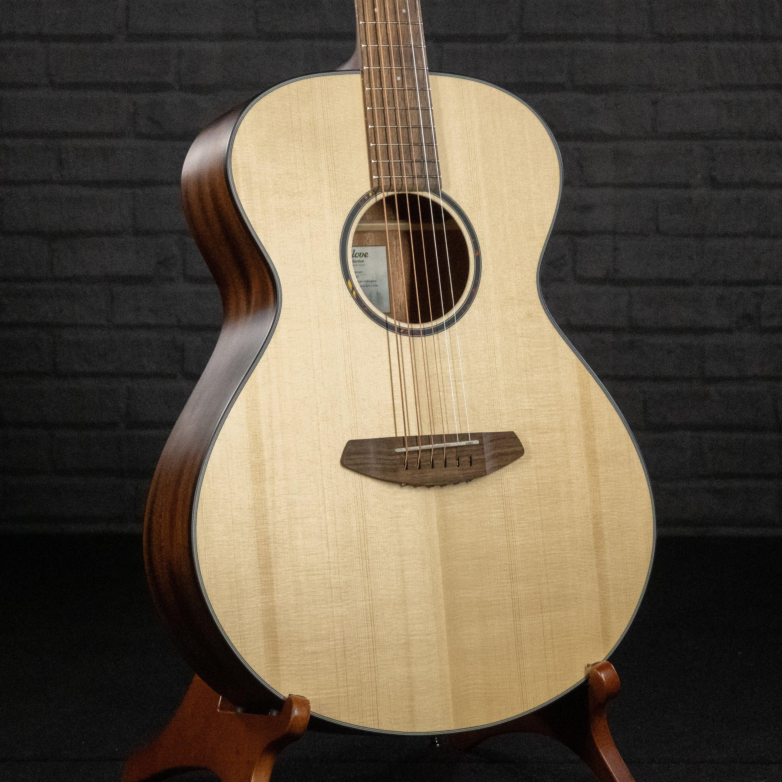 Breedlove 2024 discovery guitar